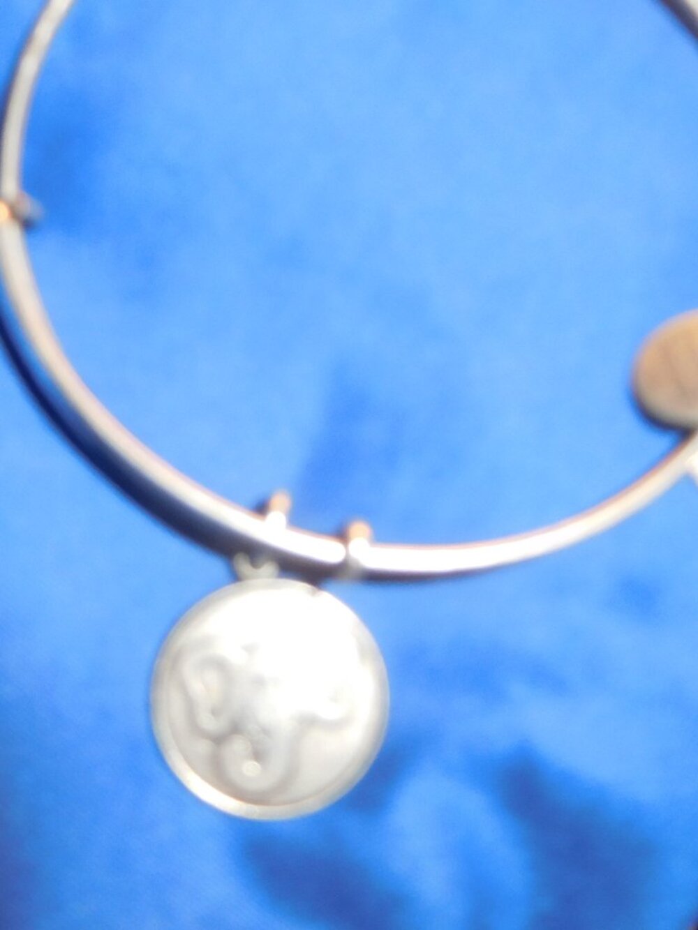 Elephant Charm Bracelet
